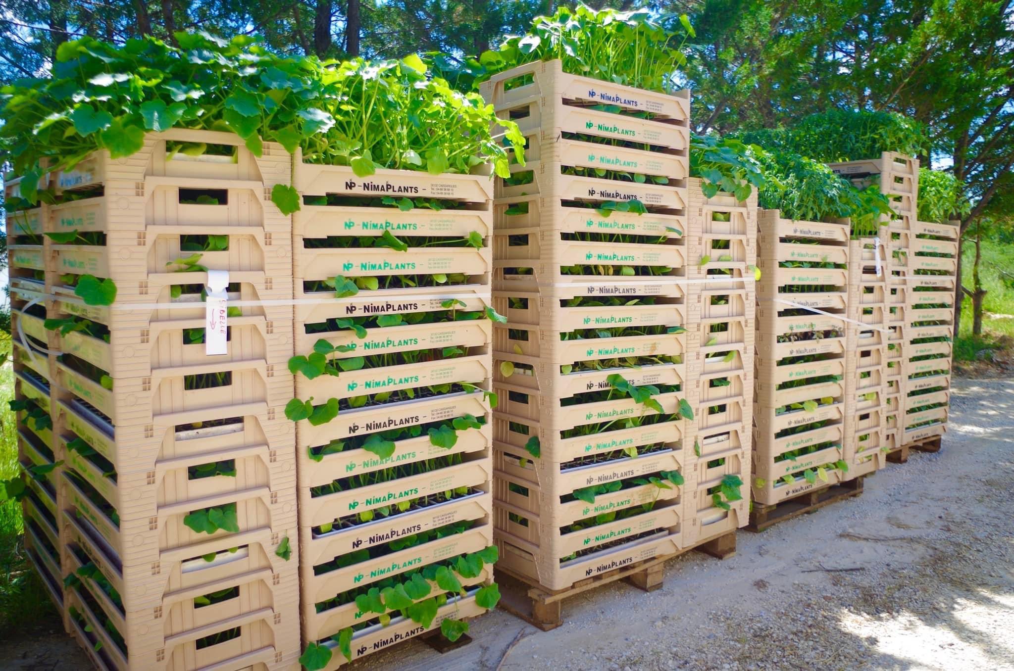nimaplants
